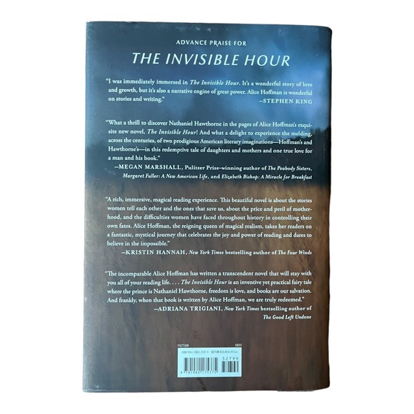 Alice Hoffman The Invisible Hour: A Novel Hardcover Book - Picture 3 of 10